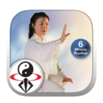 tai chi for beginners 24 form android application logo